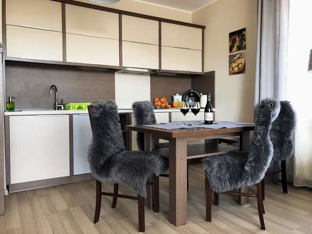 Апартаменты Apartamenty Villa Incognito Шклярска-Поремба-22