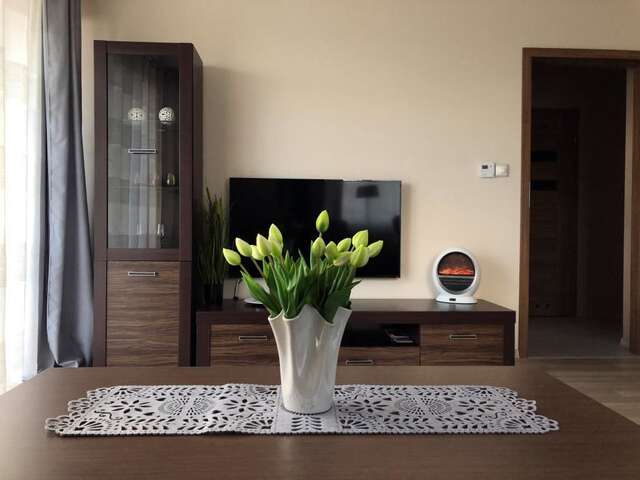 Апартаменты Apartamenty Villa Incognito Шклярска-Поремба-33